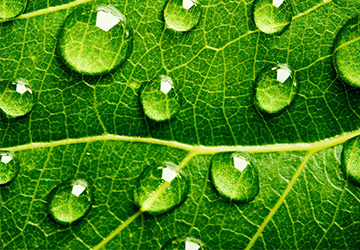 防水企業(yè)家必看：大數(shù)據(jù)時(shí)代來(lái)臨，防水行業(yè)會(huì)有哪些改變v